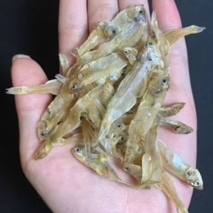 

Teri Ceples Kering Gurih Renyah Siap Goreng