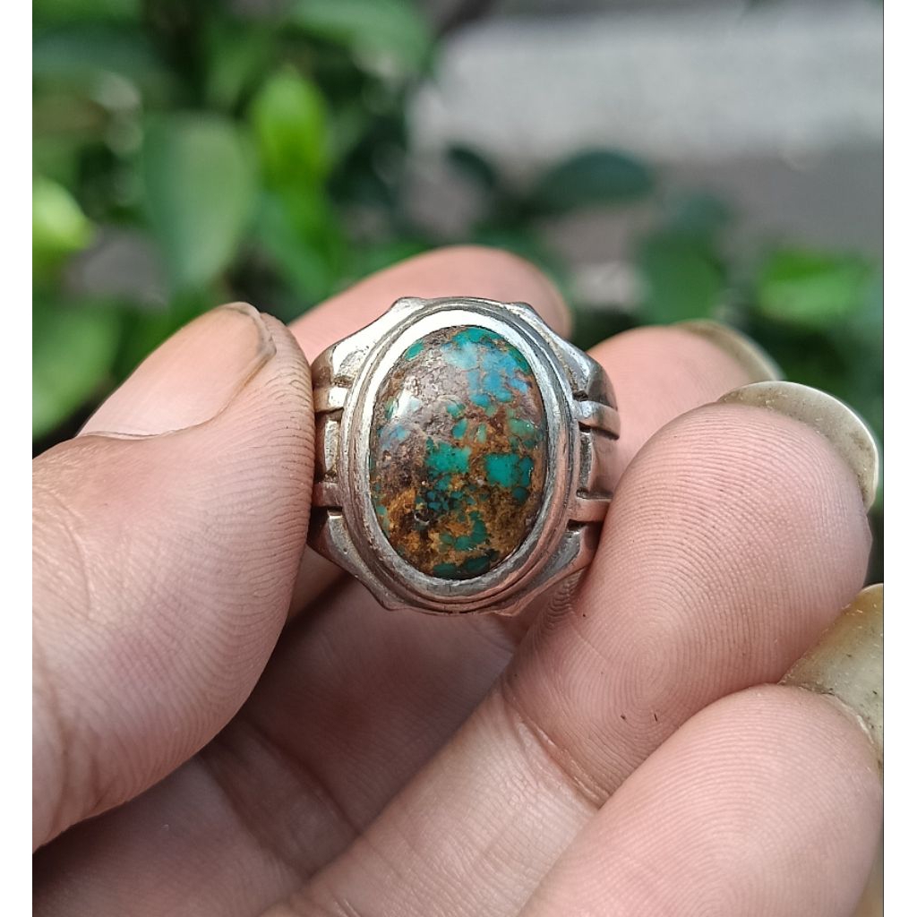 pirus Persia hijau