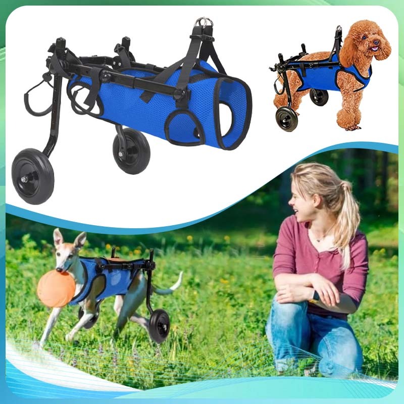 Pet Wheelchair Kursi Roda 2 Wheels Kursi Roda Kucing Wheelchair Anjing Kursi Roda Alat Mobilitas Anj