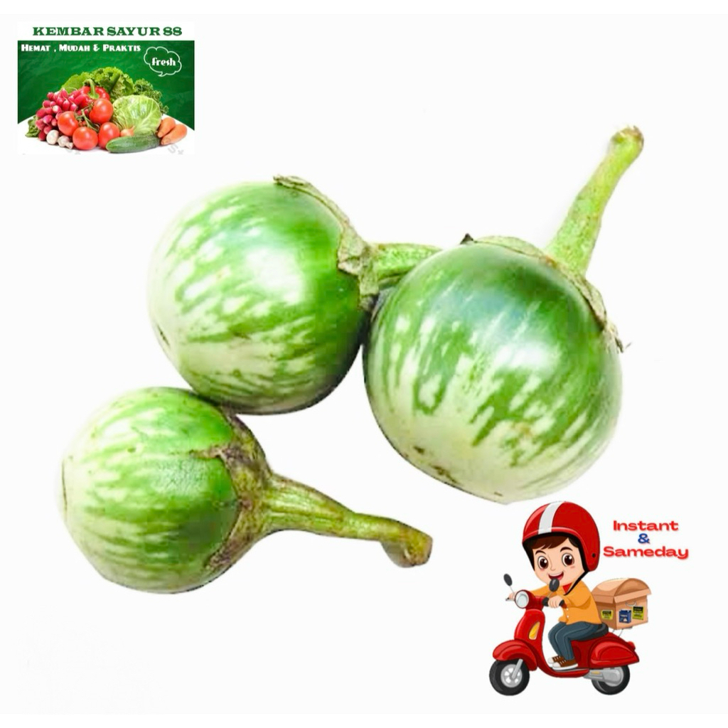 

Terong Hijau Bulat - Kembarsayur88