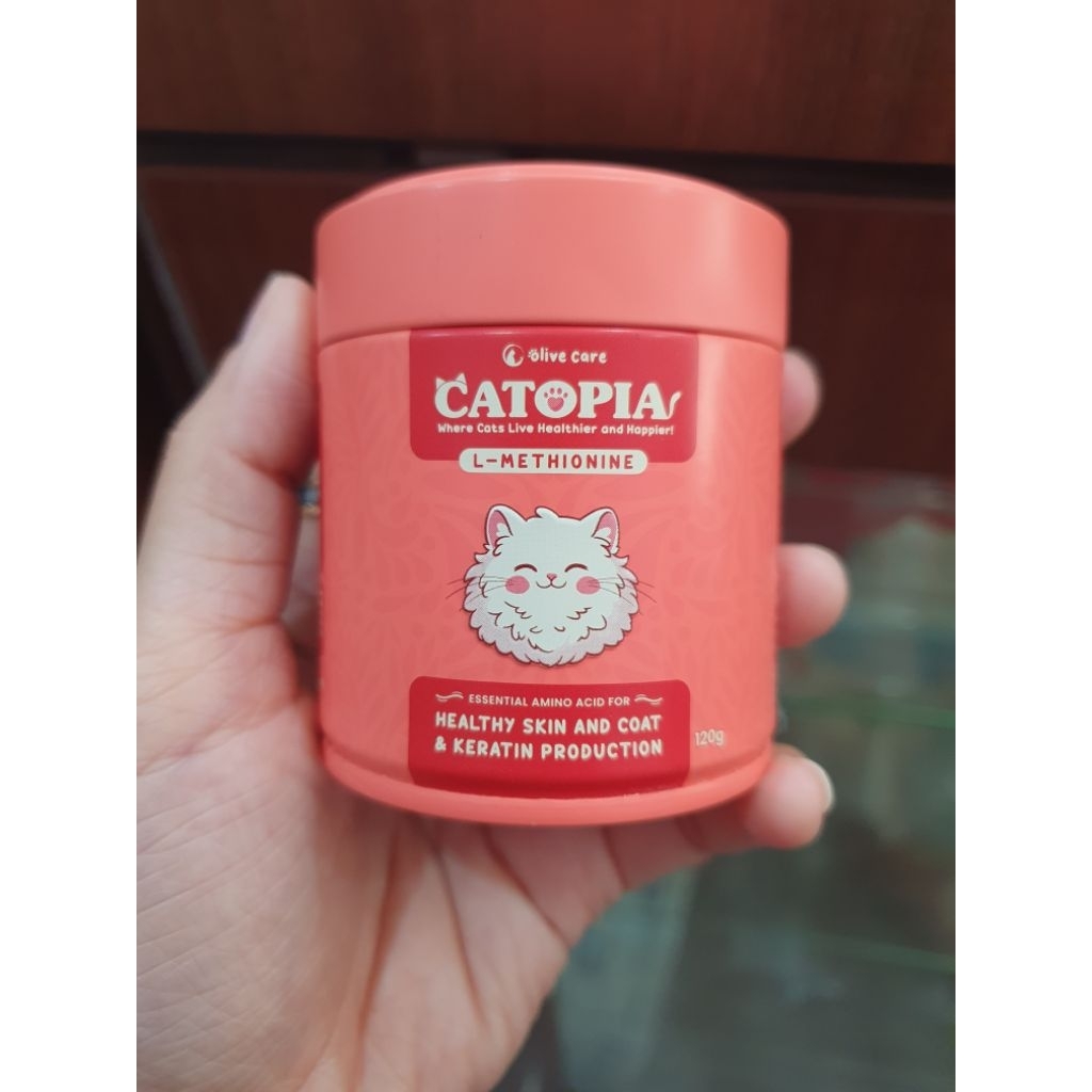 Catopia olive care