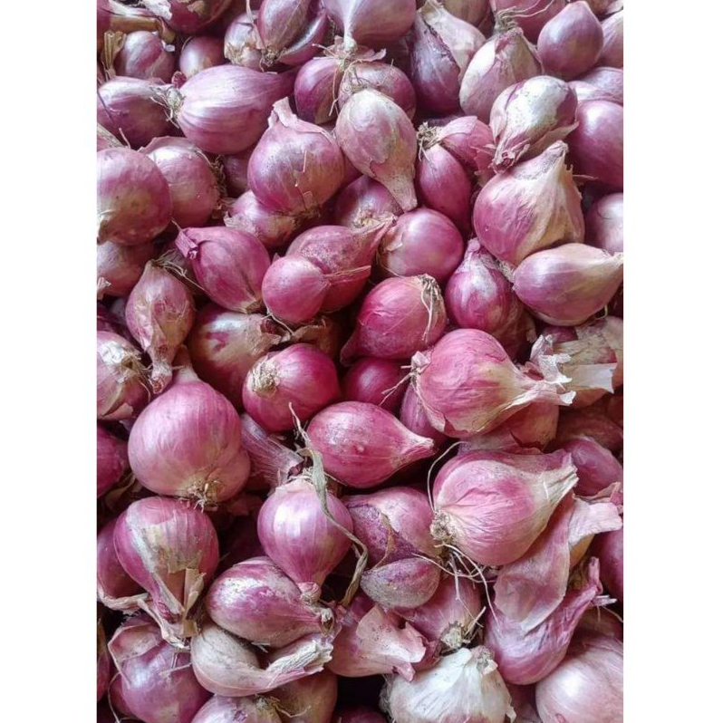 

Bawang Merah Brebes 1kg Termurah Sedang Besar