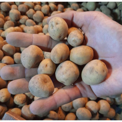 

Kentang kecil 500gr - 1Kg | JBP_Fresh