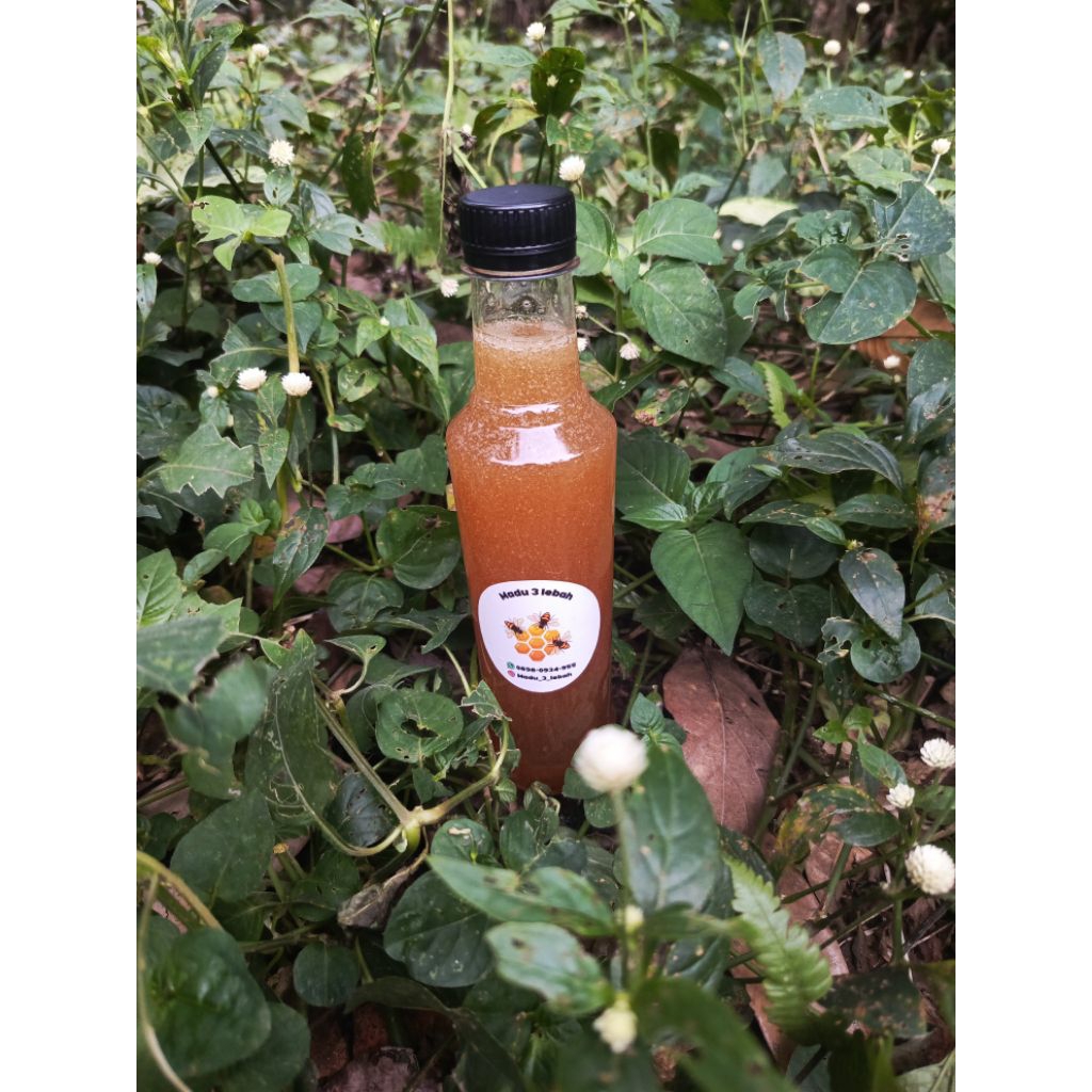 madu lebah 100% asli