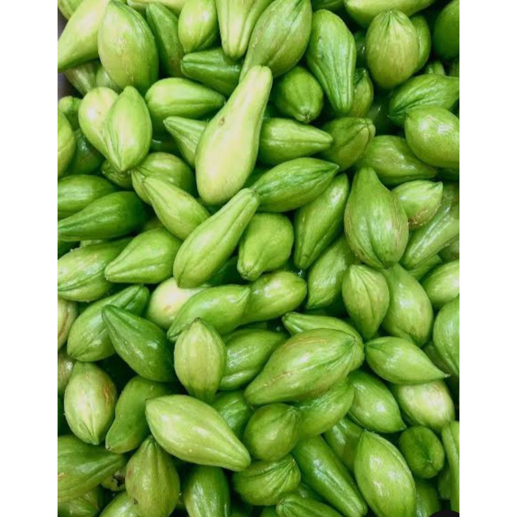 

LABU SIAM SEGAR 500gr