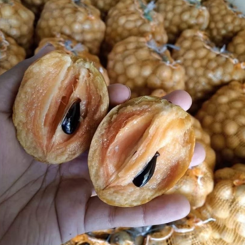 

SAWO MADU 1 KG PENGIRIMAN SETIAP HARI DARI PURBALINGGA