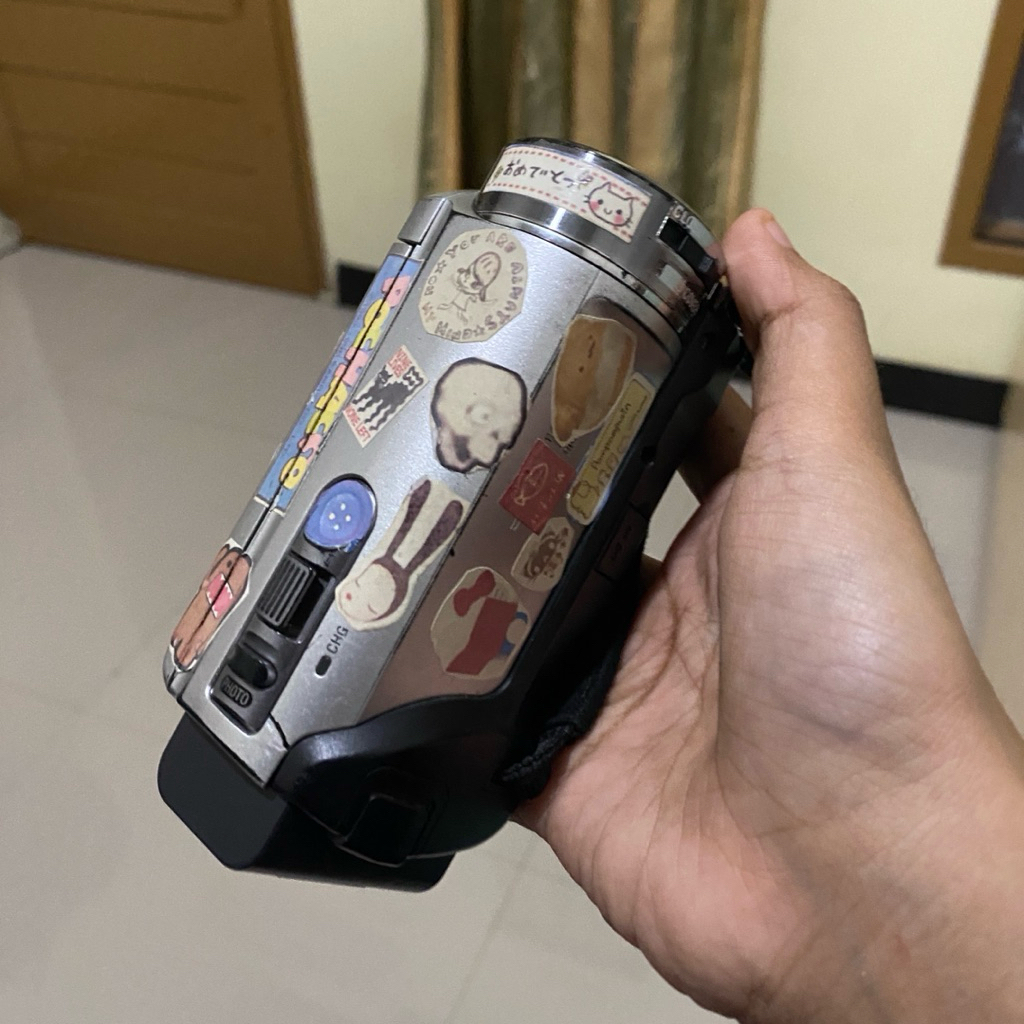 Handycam Sony DCR-SX21E