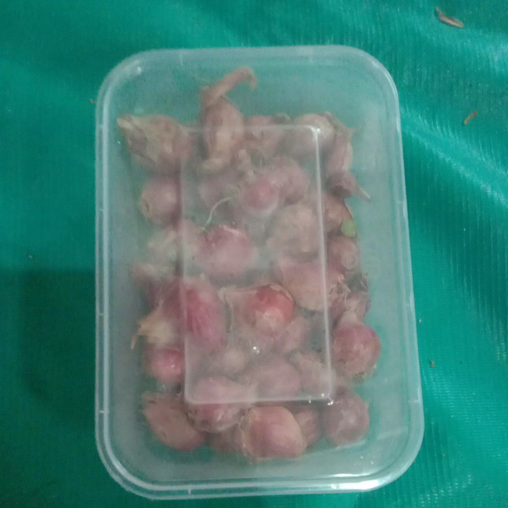 

bawang merah