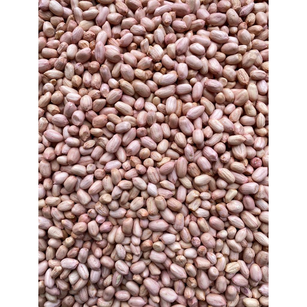

Kacang Kupas Fresh Siap Olah Kualitas Super 500gr/1kg