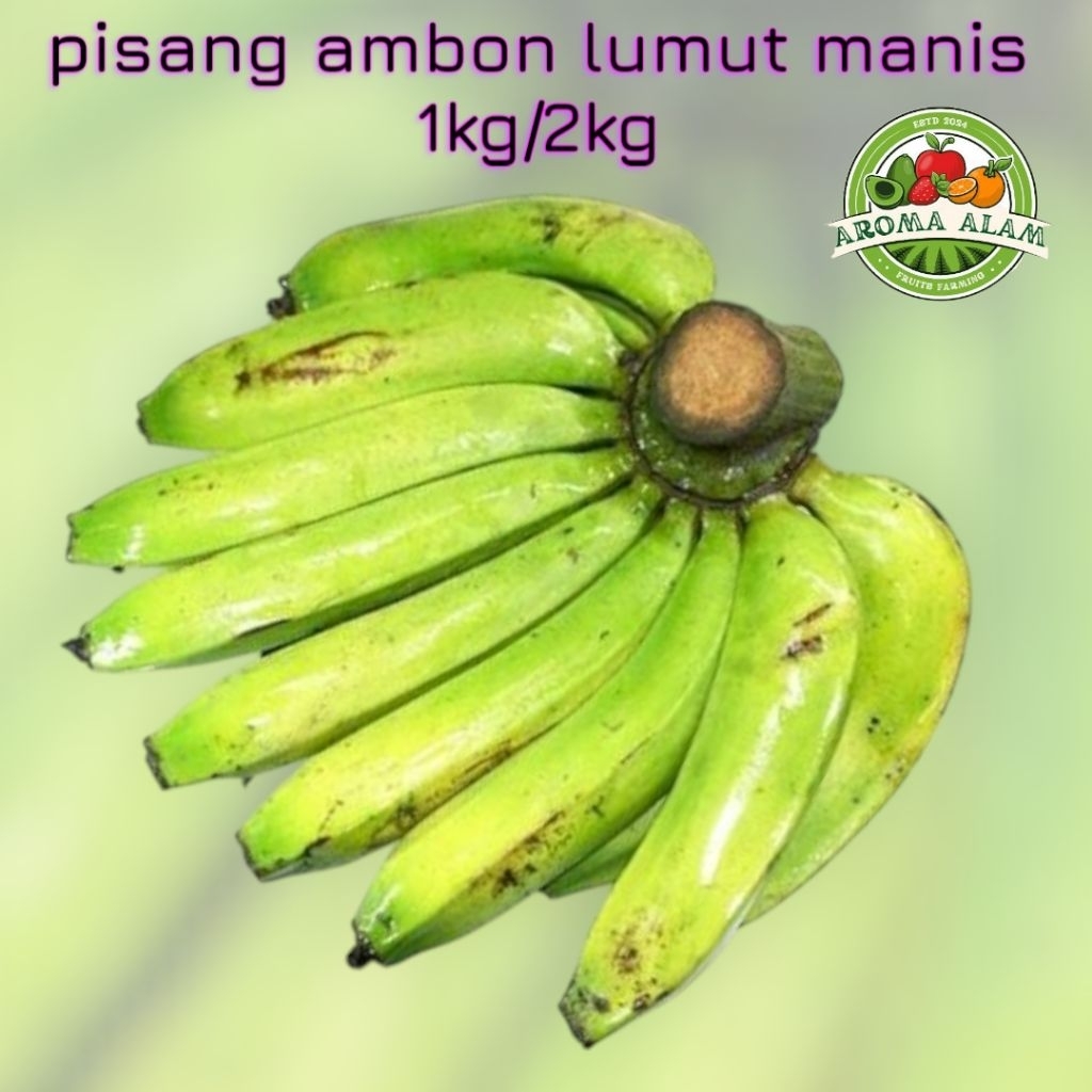

buah pisang ambon lumut manis super 1kg
