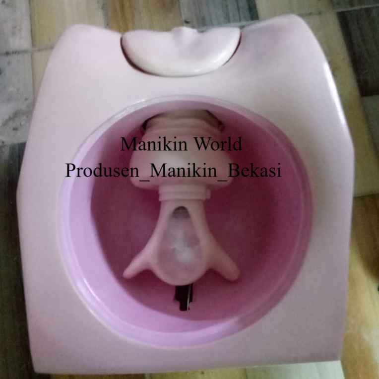 [FREE BUBBLE WRAP]IUD ALAT PERAGA PHANTOM MANIKIN/PEMASANGAN SPIRAL