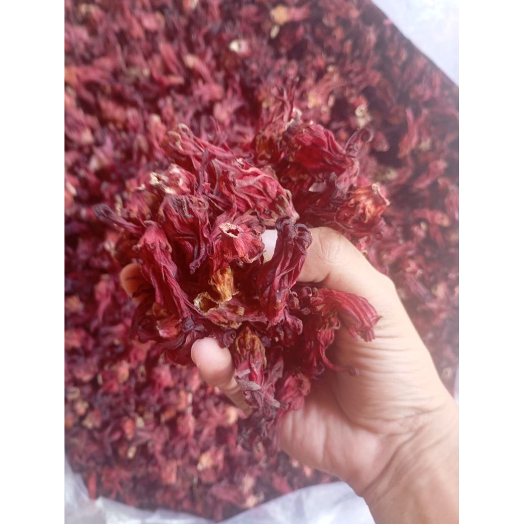 

Teh Bunga Rosella 1kg Siap Seduh Sudah Kering Herbal Alami