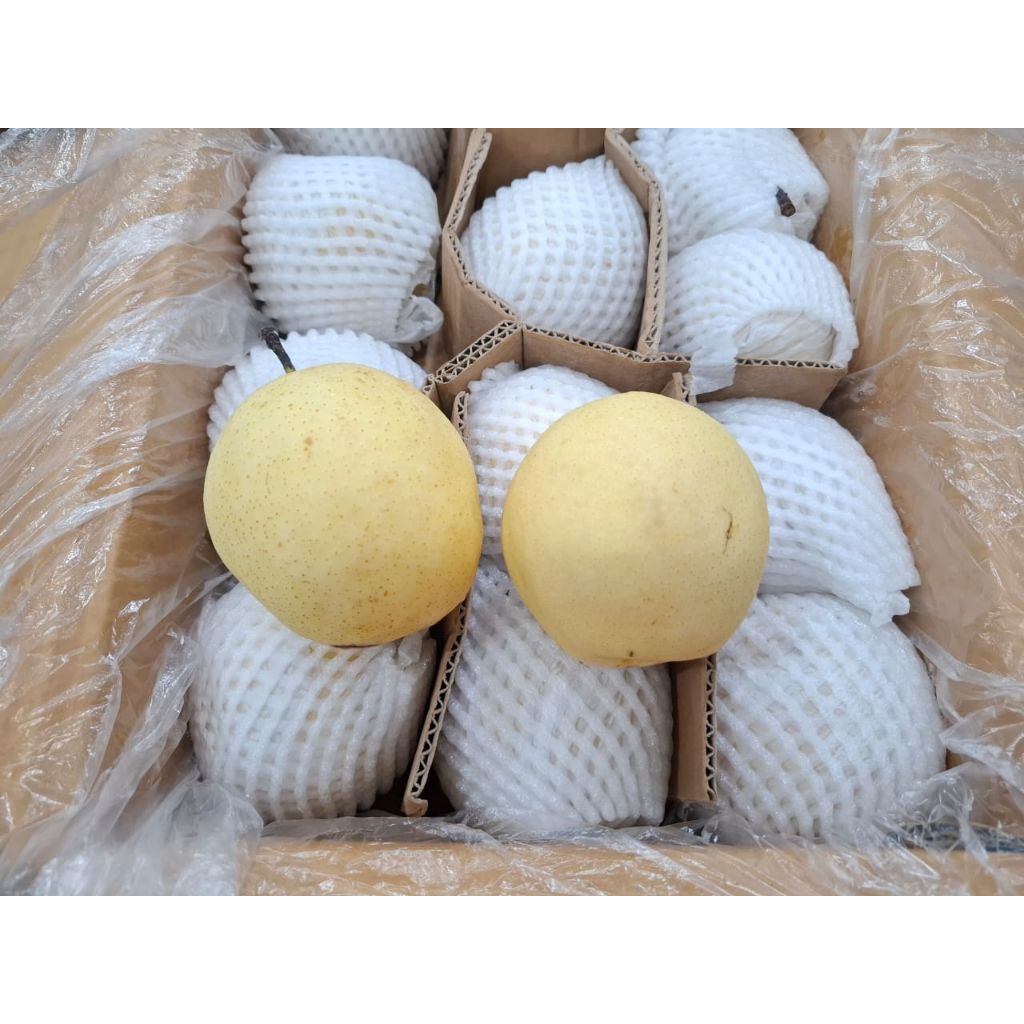 

Pir Century 1kg (INSTAN)