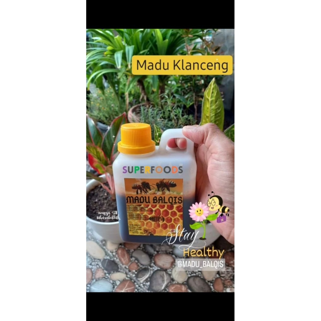 

Madu | Madu Klanceng | 500gr | ASLI | Madu Murni | Madu Balqis | Raw Honey