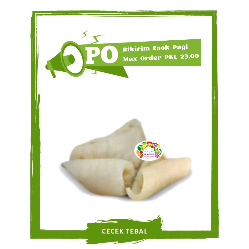 

Cecek Tebal / Lauk Segar Daging Segar PO Mallahrizwa