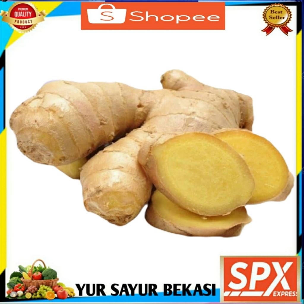 

Jahe Hangat Segar 120gr.