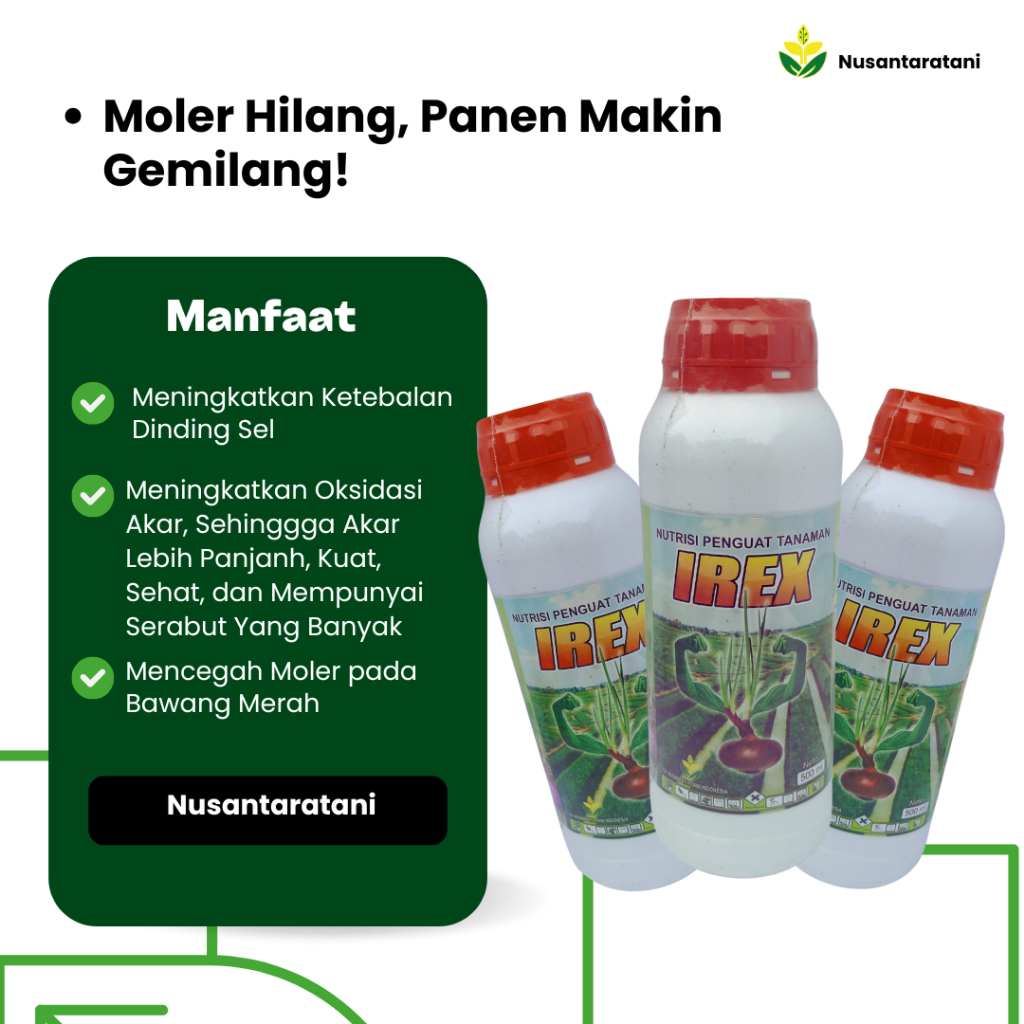 Pupuk Cair Padi dan Bawang IREX 250ml - Nutrisi Tanaman Daun Hijau Subur Cocok Untuk Sayuran & Padi 