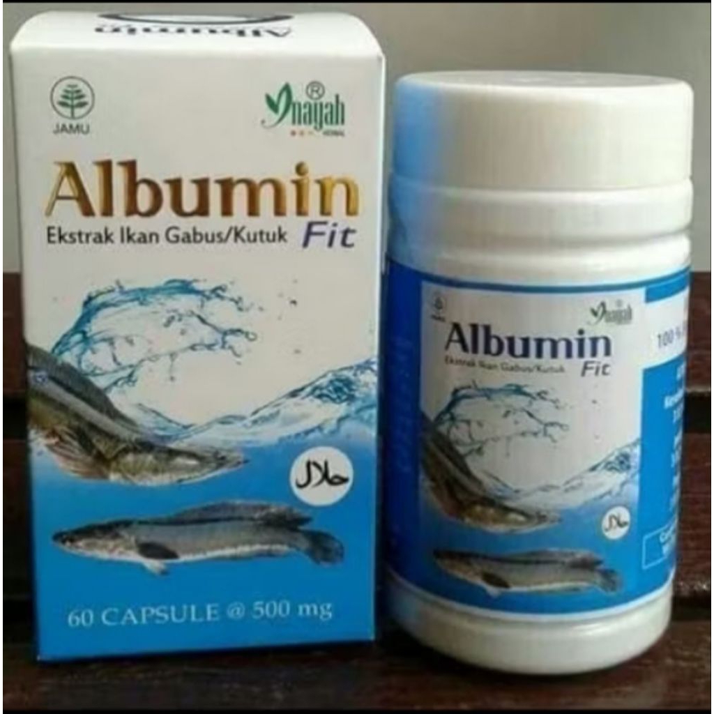ALBUMIN FIT Kapsul Ekstrak Ikan Gabus Obat Penyembuhan Pasca Operasi isi 60 kapsul ori