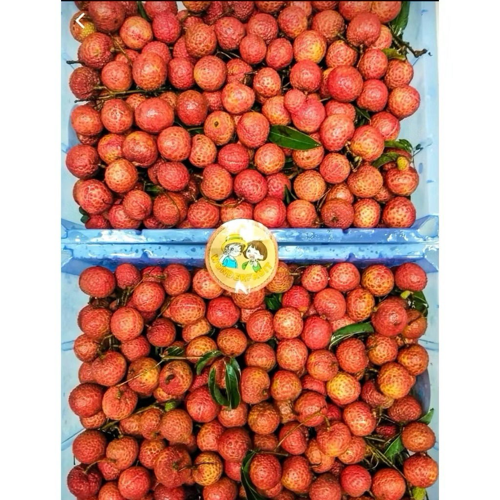 

Leci Merah Manis 1,5kg