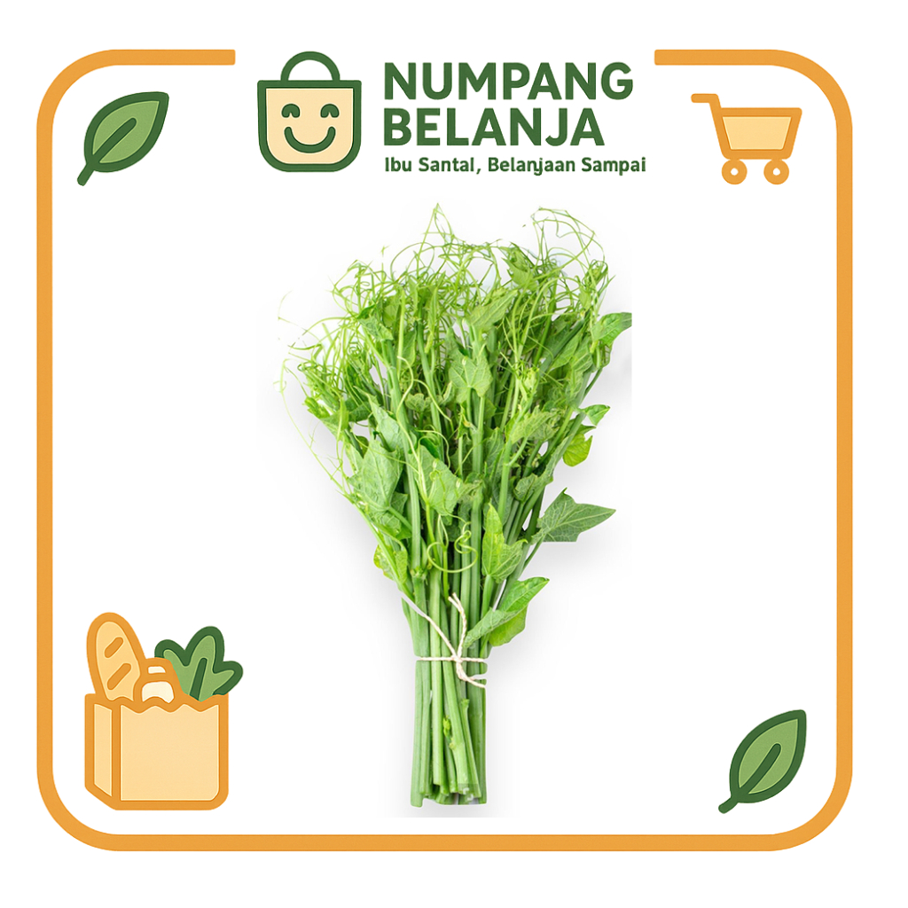 

daun labu siam sayur fresh 1 ikat [200g]