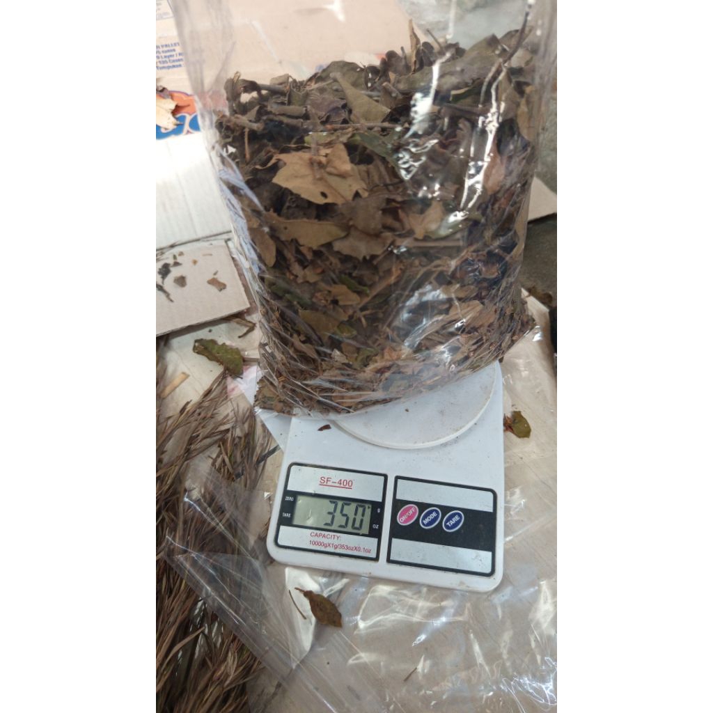 

daun benalu jeruk nipis murni per 300gram