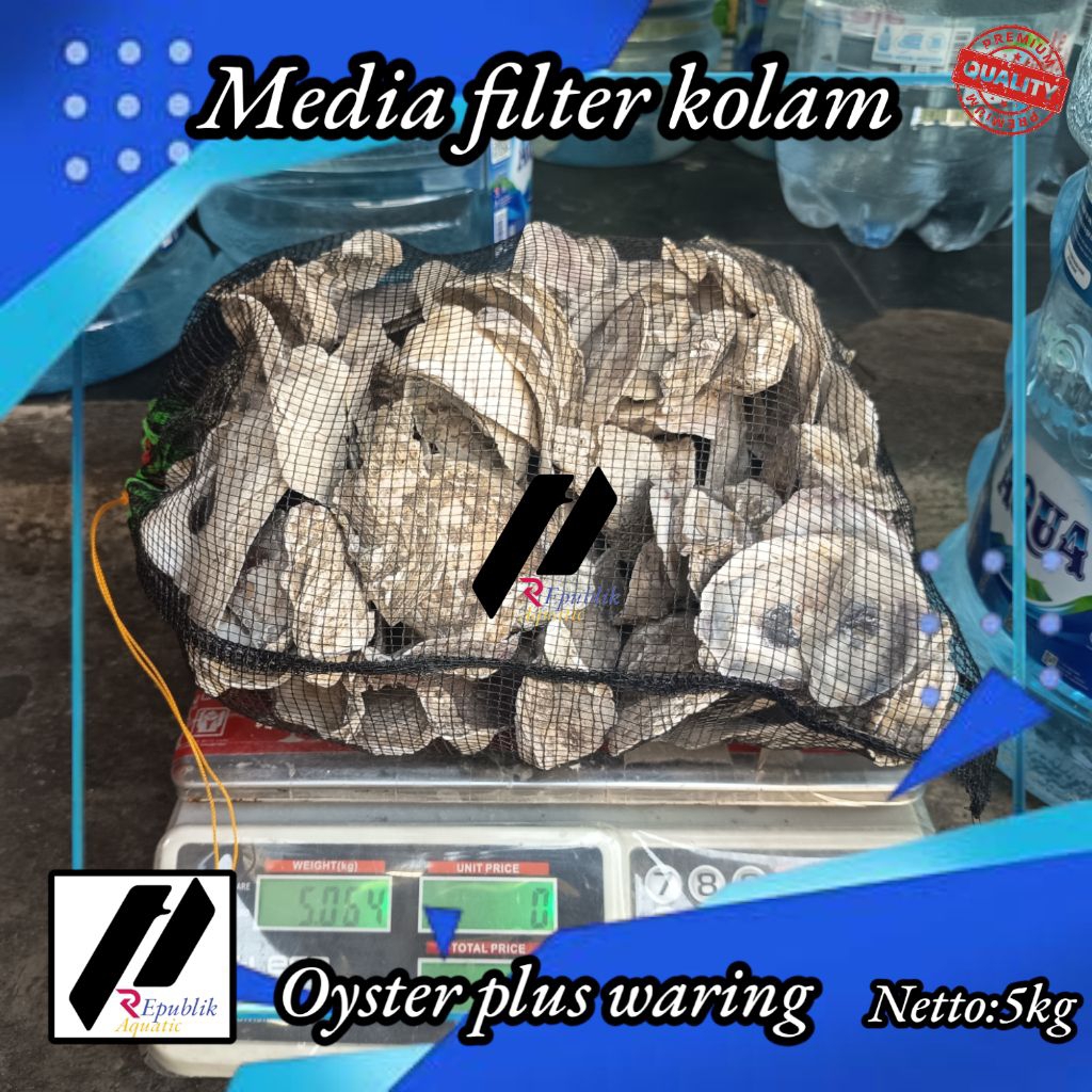 Oyster 5 kg plus waring / oyster 5kg /oyster / media filter / kerang oyster /media filter koi / filt
