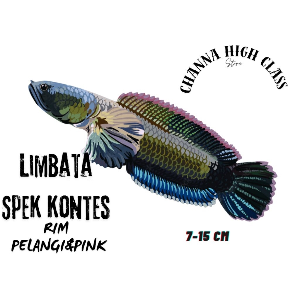 

stiker hp bermotif lucu Limbataaa 7-15cm lucu Rekonditioned istimewa(COD BAYAR DI TEMPAT)Hiasan dinding lucu