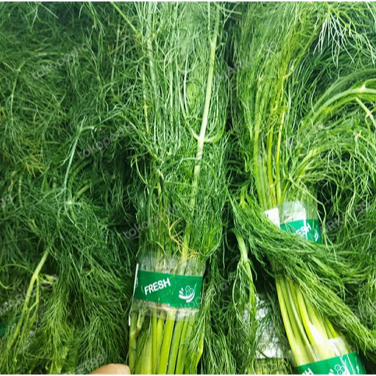 

Daun dill Per Ons | JBP_Fresh