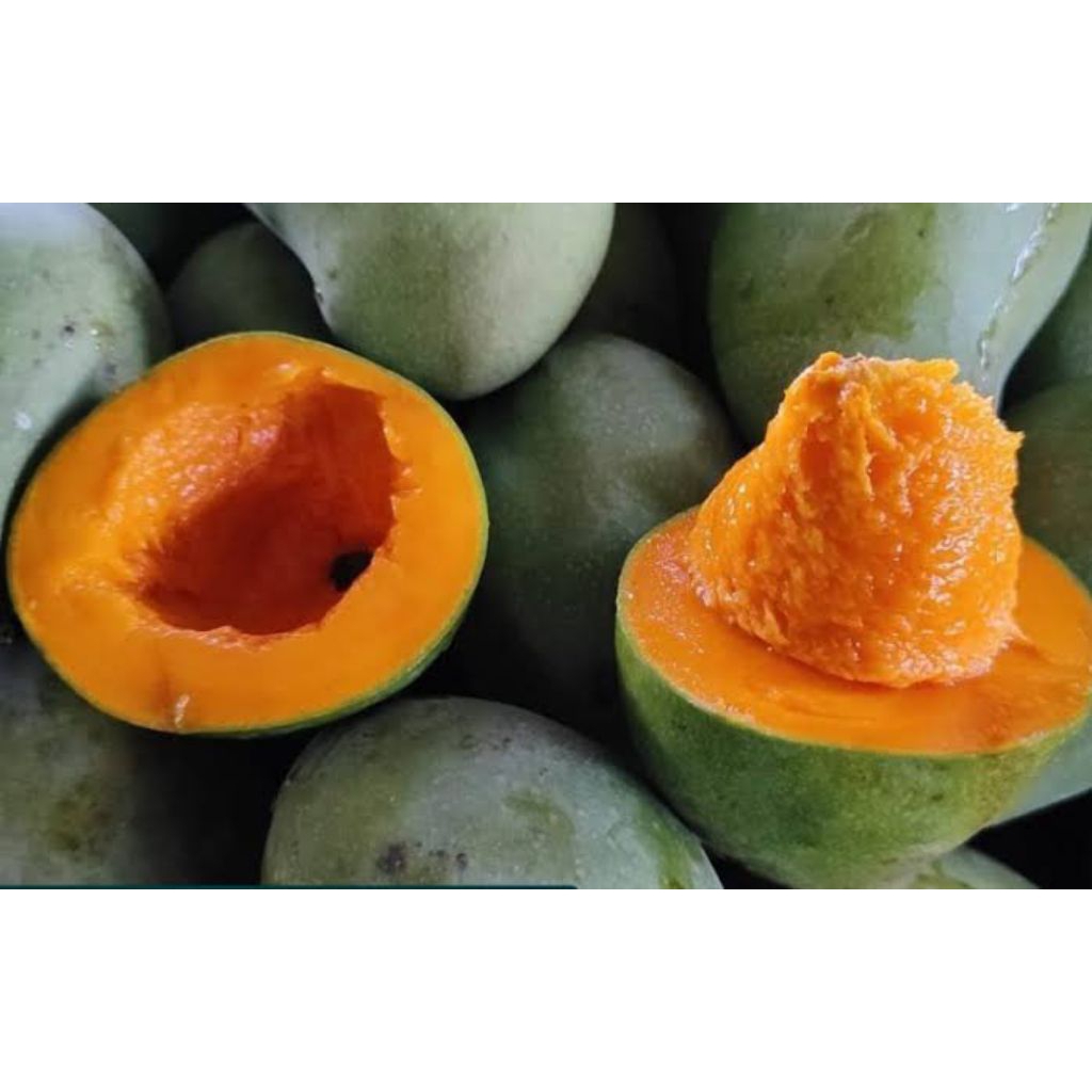 

READY STOCK.. mangga harumanis mengkal per 1kg