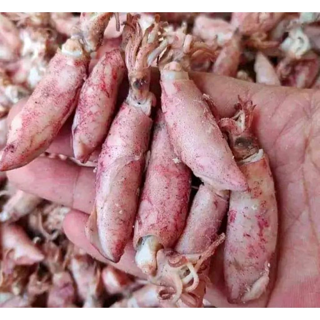 

IKAN ASIN CUMI BABY 500GRAM