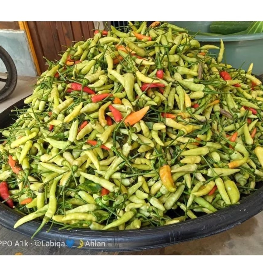 

CABE RAWIT CAKRA FRESH PETANI