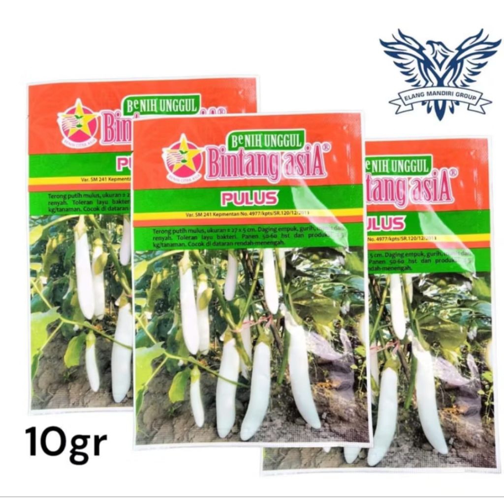 PULUS 10GR Benih Terong Putih Kania Bintang Asia
