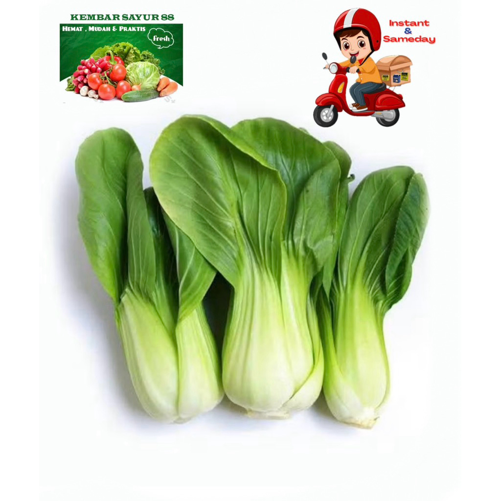 

Pokcoy Segar - kembarsayur88