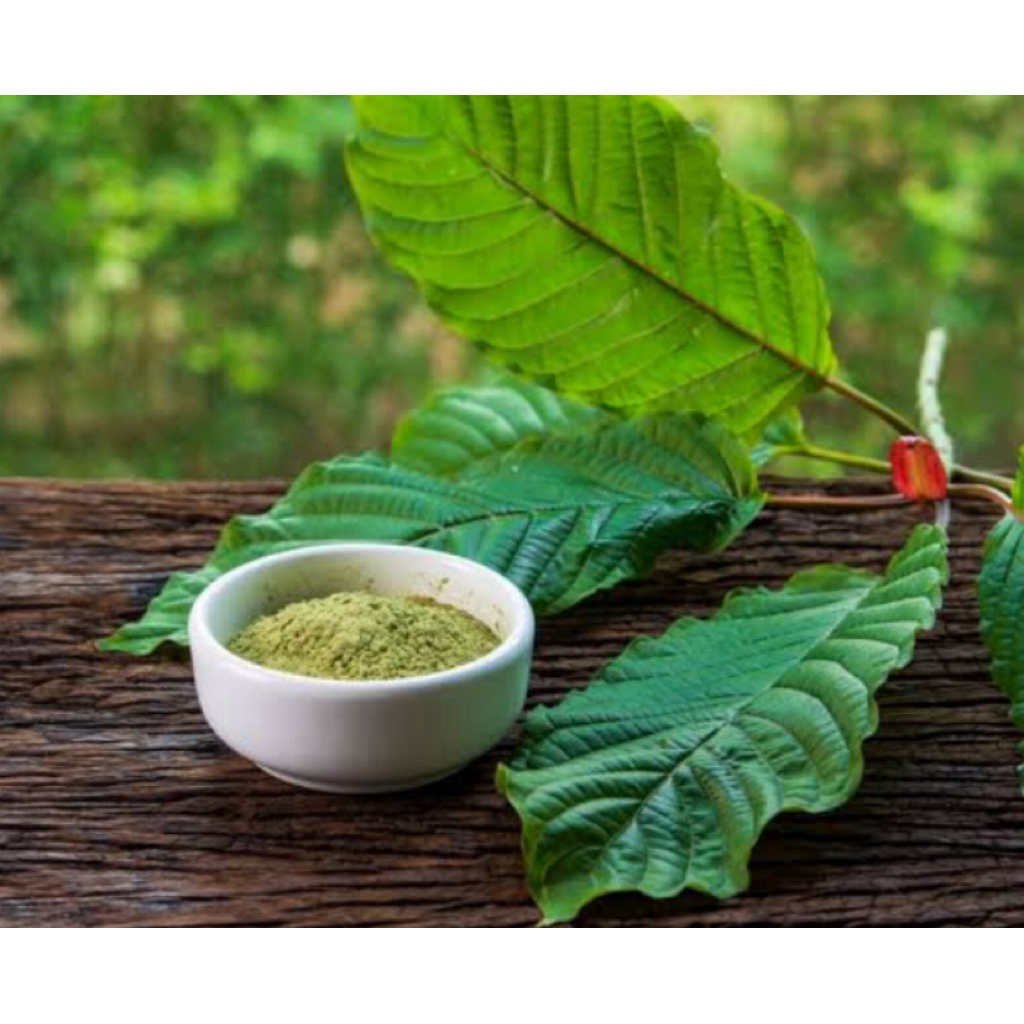 

daun herbal kalimantan