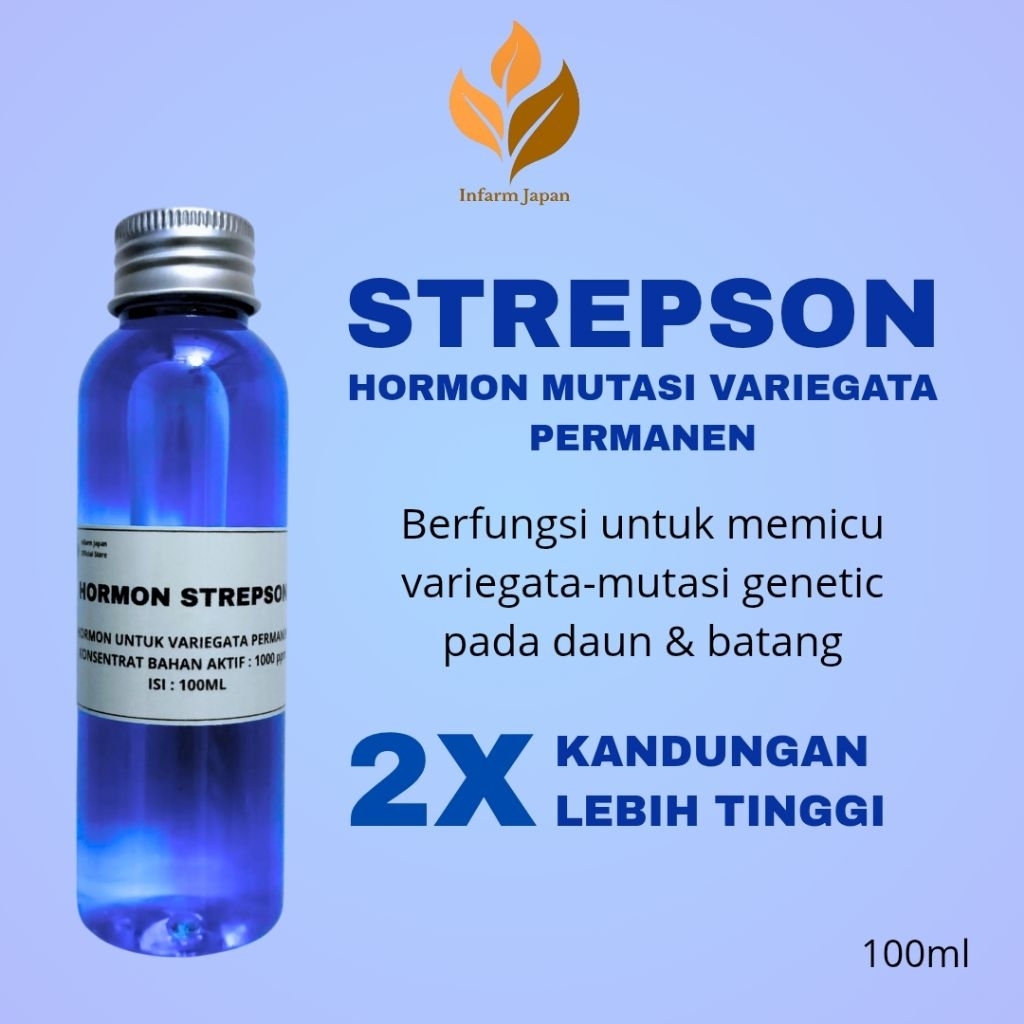 Infarm Japan - Hormon Strepson 100ml Untuk Varigata Permanen Pada Tanaman