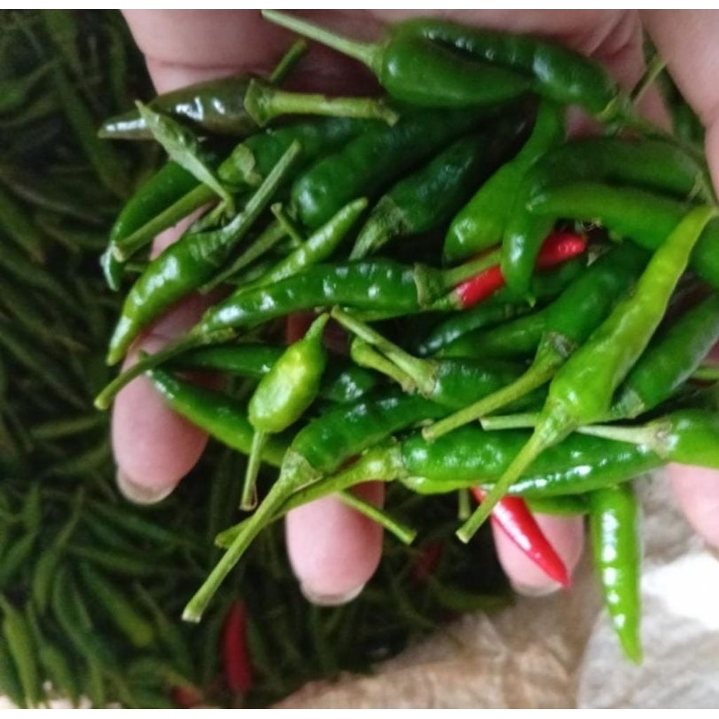 

500 gram Cabai Rawit / Cabe Rawit Segar