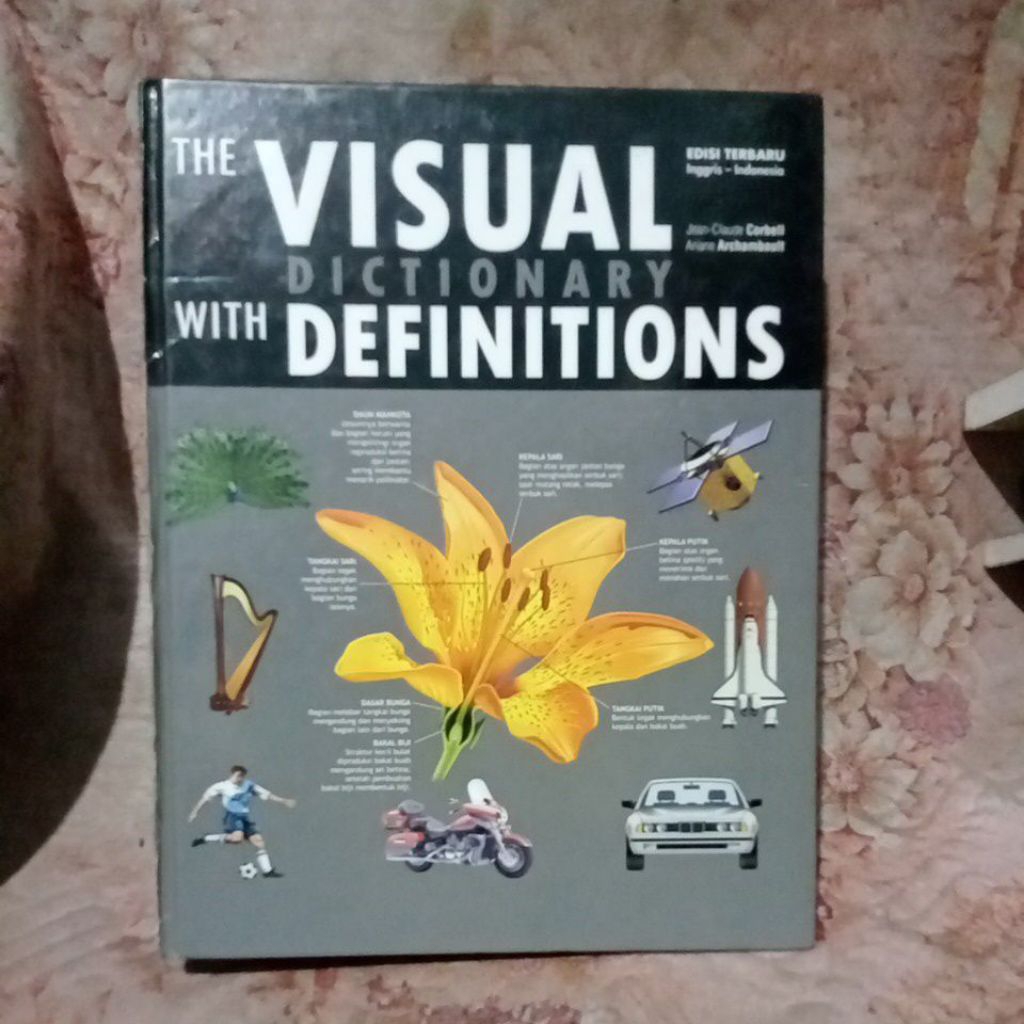 the visual dictionary with definitions