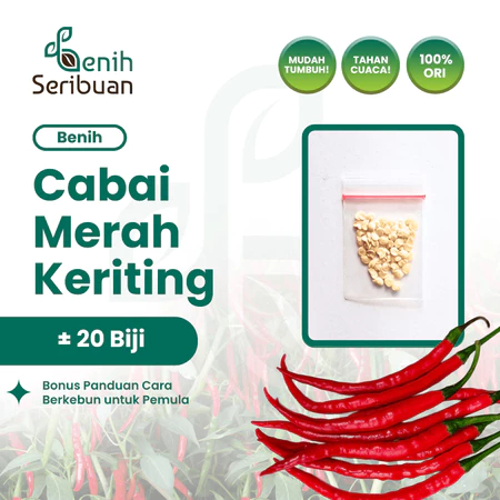 Benih Cabe Merah Keriting Unggul