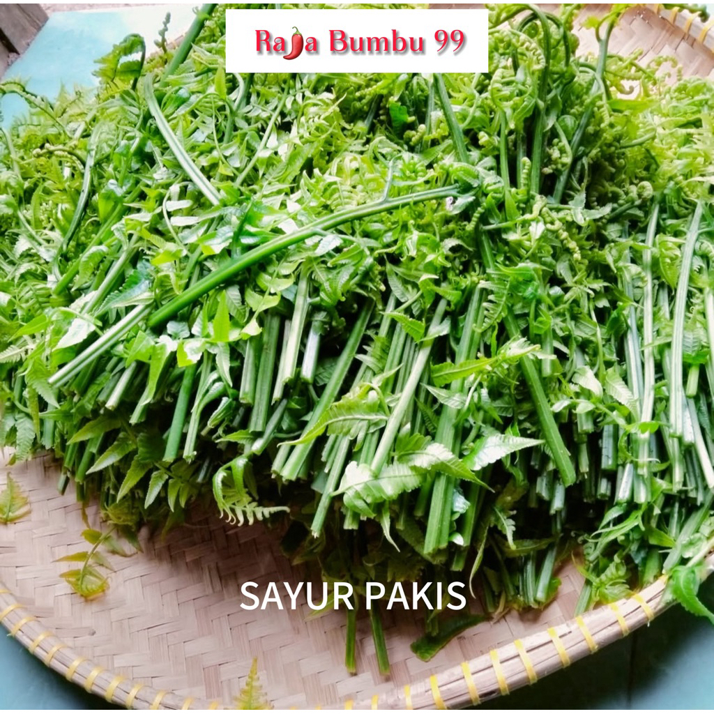 

SAYUR PAKIS / PAKU 1 ikat