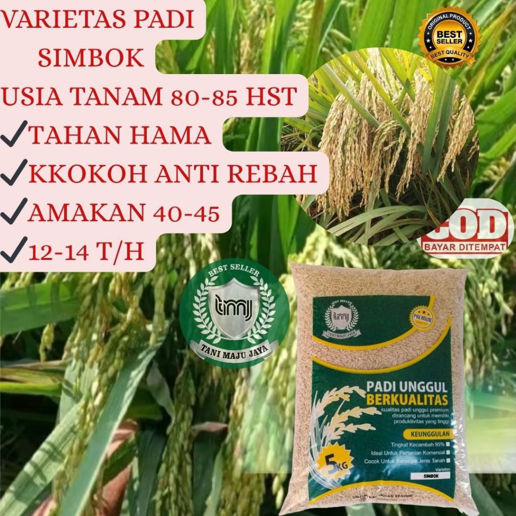 BIBIT PADI BENIH PADI UNGGUL VARIETAS SIMBOK 03 KEMASAN 5 KG