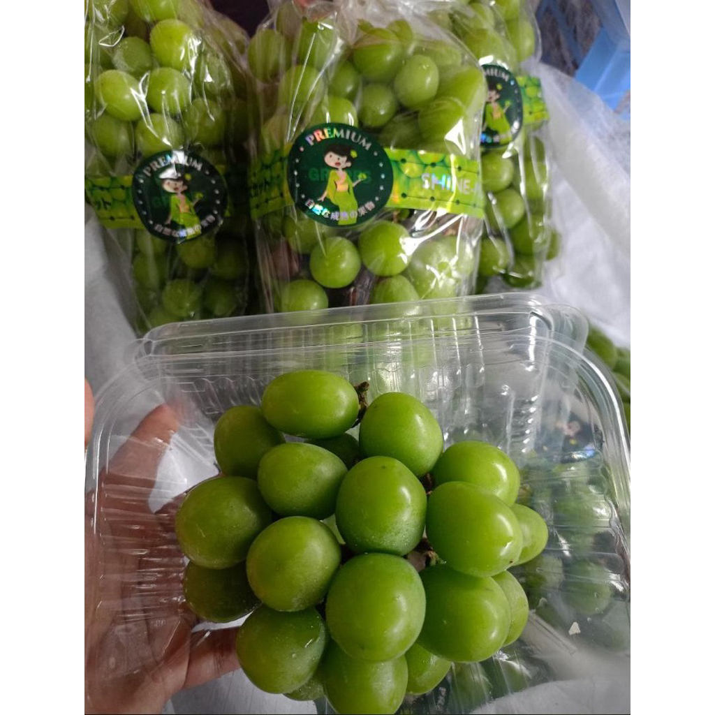 

Anggur shine muscat!!