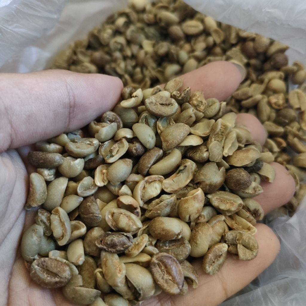 

Kopi Pixel Robusta Temanggung harga murah