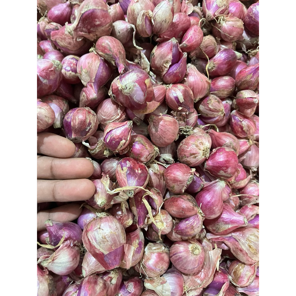 

Bawang merah daun kering 1 kg