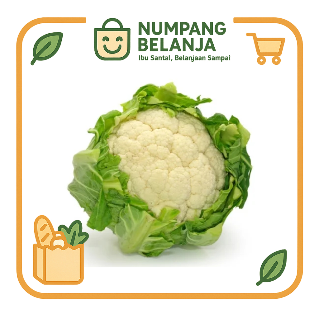 

kembang kol sayur fresh 1 buah [250g]
