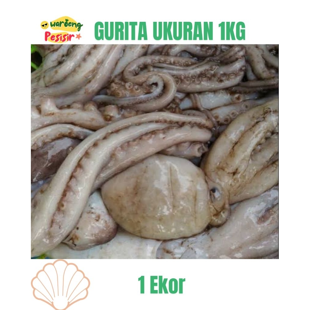 

OCTOPUS/GURITA SEGAR - DIJUAL PER KILOGRAM (ISI 1 EKOR/KG)