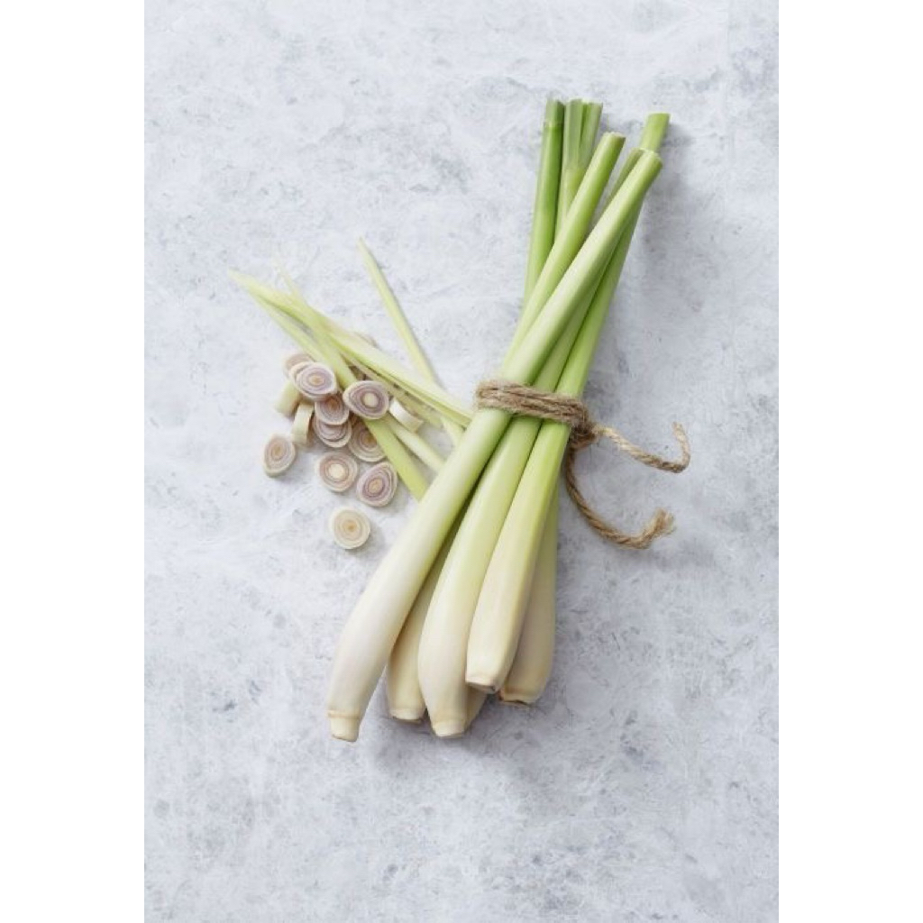 

Sereh Segar 500gr | Serai Wangi Fresh Bumbu Masakan / Herbal