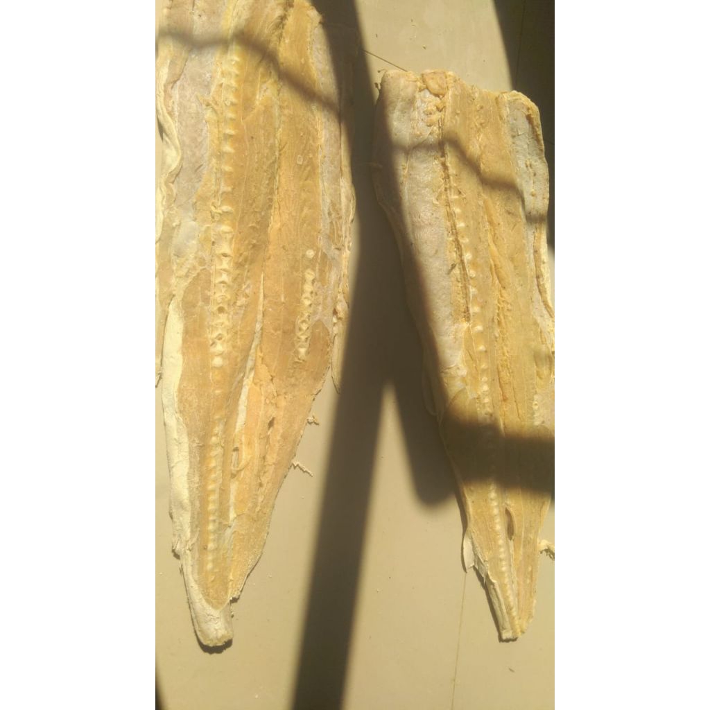 

ikan asin cucut kulit