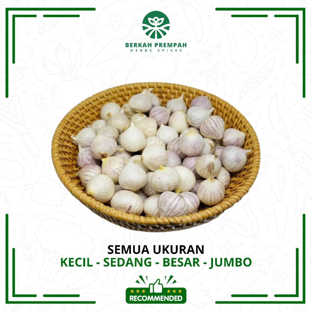 

Bawang putih tunggal super 1kg | Bawang lanang | Bawang Tunggal | Bawang Putih tunggal lanang | Super Pilihan herbal Super Alami - Berkahprempah