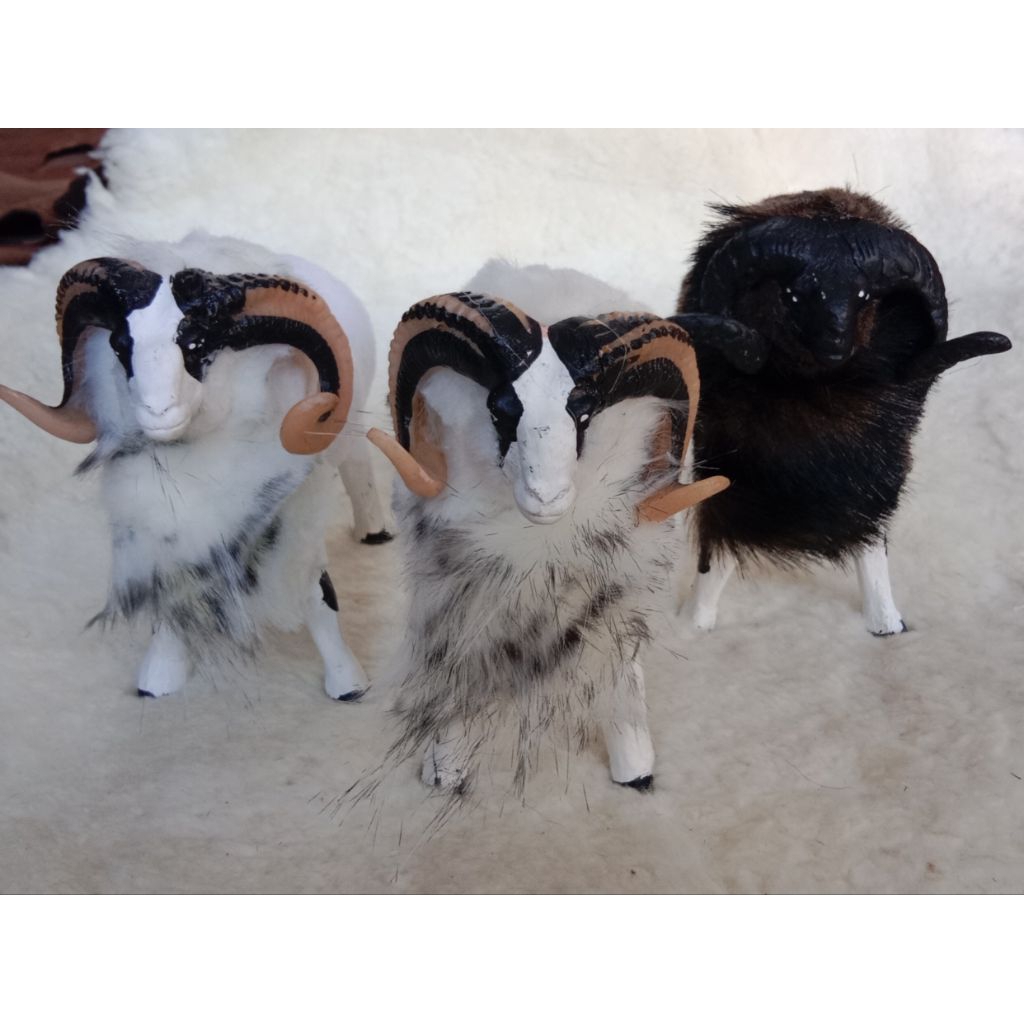 Miniatur Domba Asli Garut