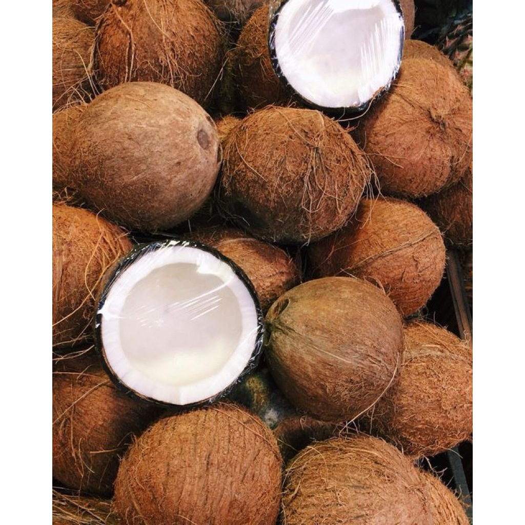 

kelapa tua tanpa serabut